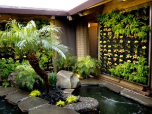 Landscaping Company in Dubai